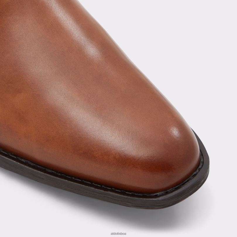 brodyx moda marrom Portugal homens 8LH6R1827