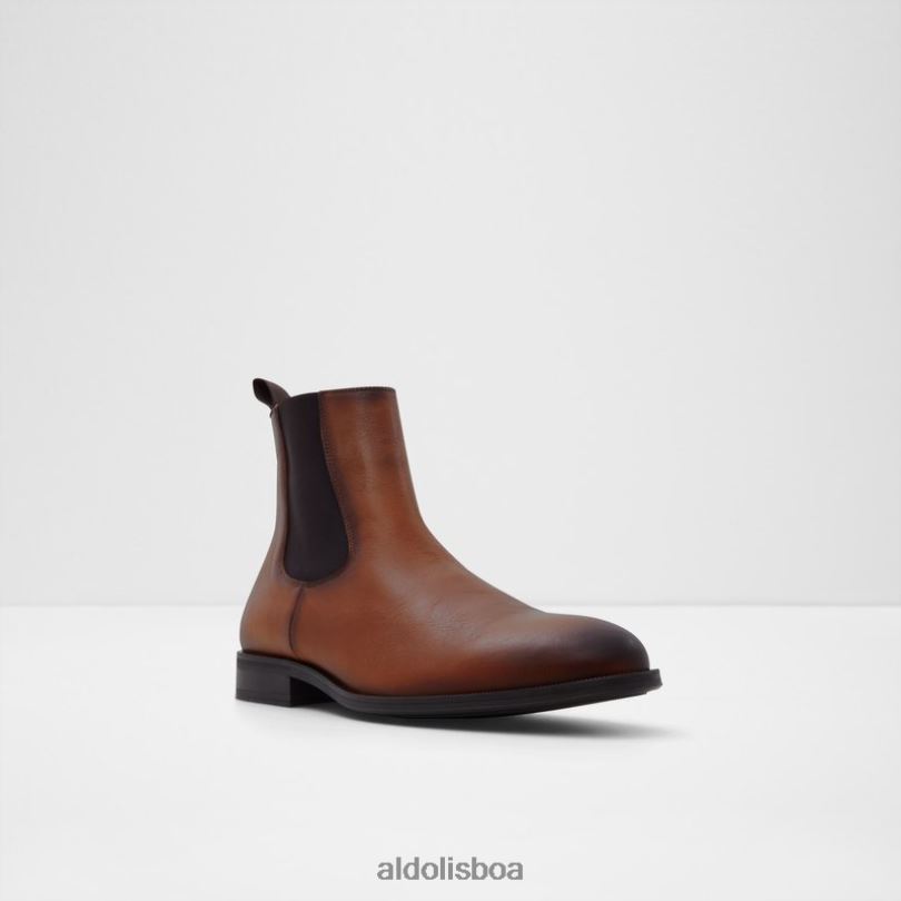 conhaque da moda shuman Portugal homens 8LH6R1684