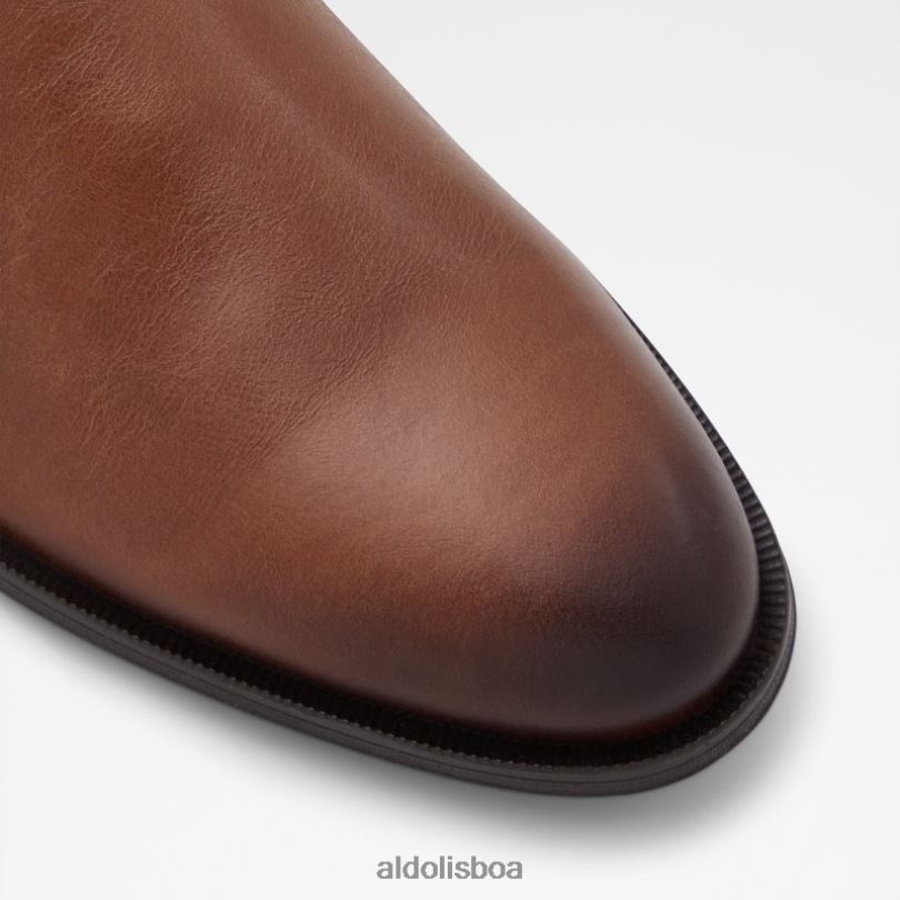 conhaque da moda shuman Portugal homens 8LH6R1684