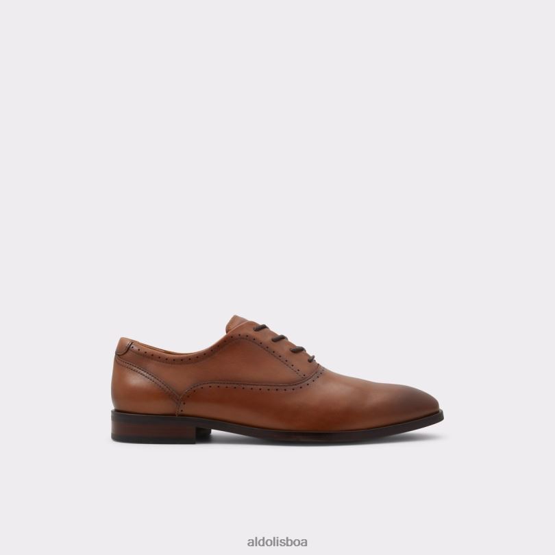 sapato cognac fashion cardiff oxford Portugal homens 8LH6R4470