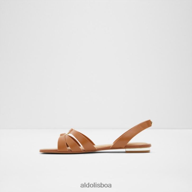 moda marrom médio marassi Portugal mulheres 8LH6R613