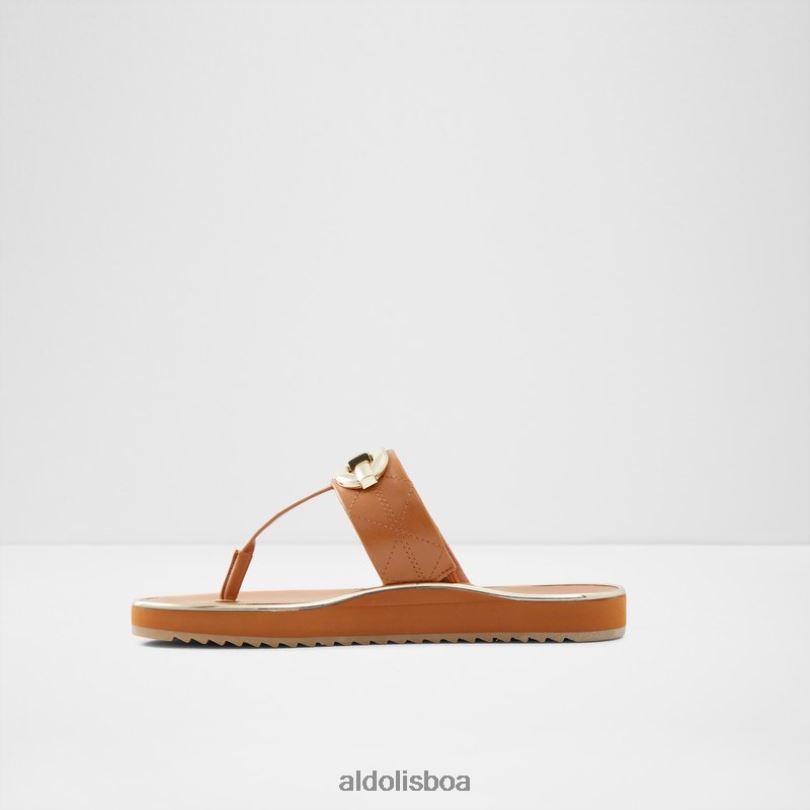 moda marrom médio searene Portugal mulheres 8LH6R672